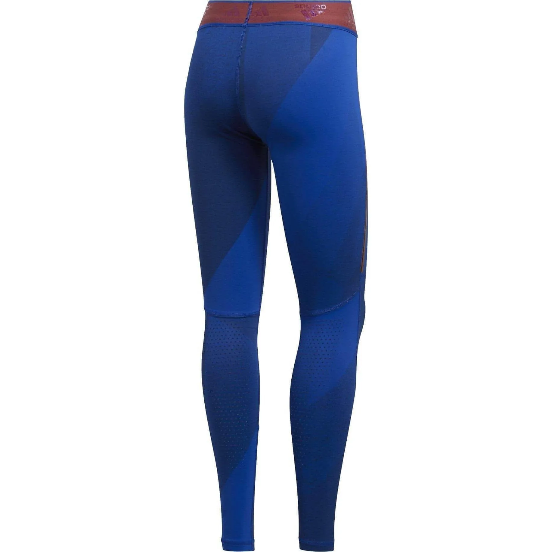 adidas AlphaSkin Graphic Womens Long Training Tights - Blue