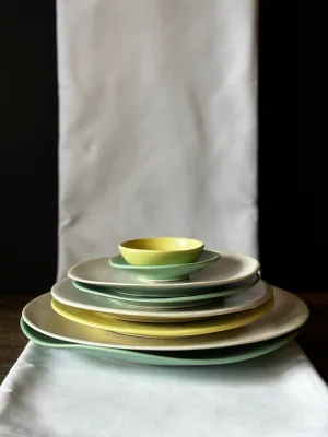 Ceramic Dinner Plates