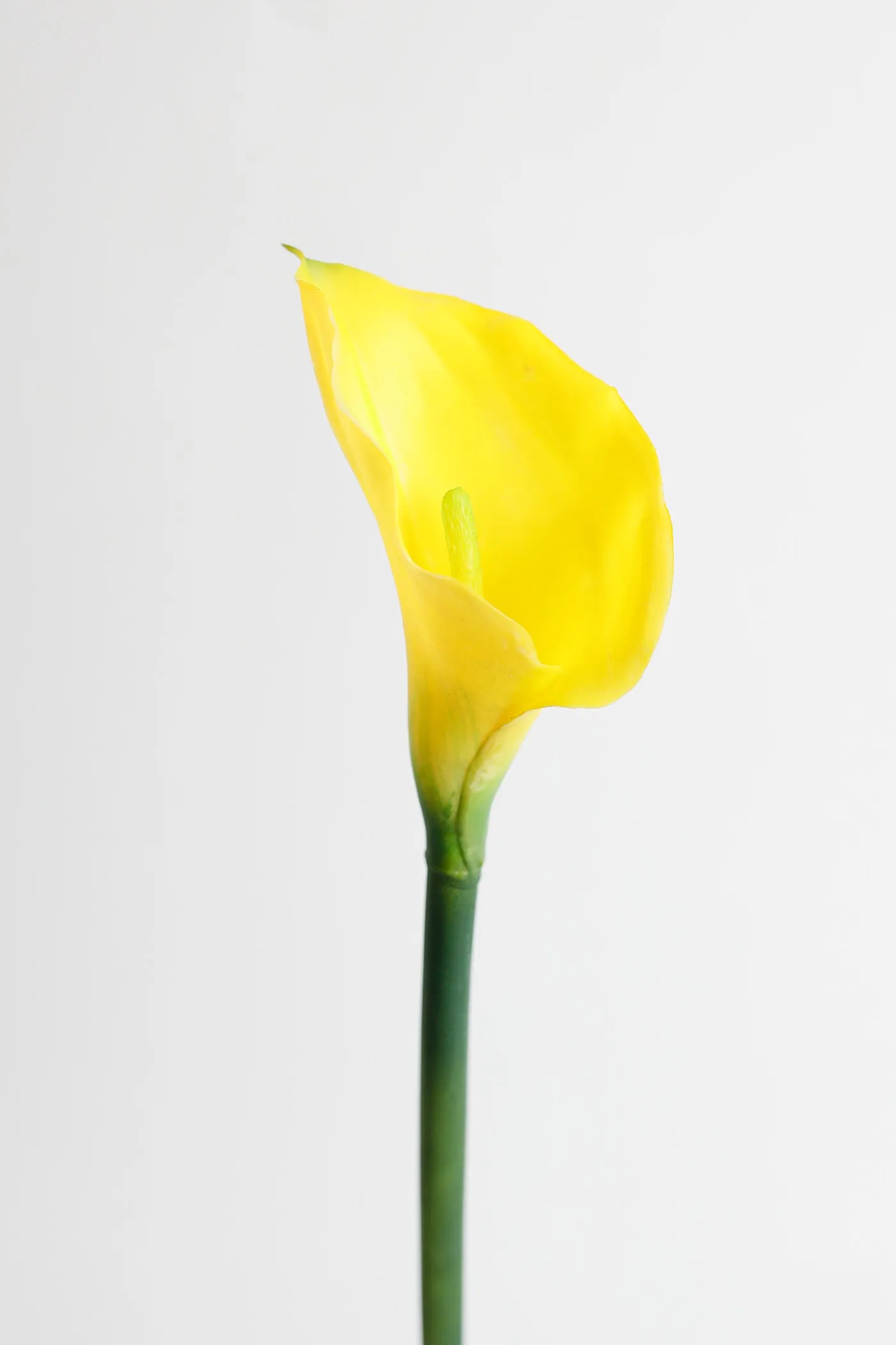 Premium Real Touch Calla Lily Stem