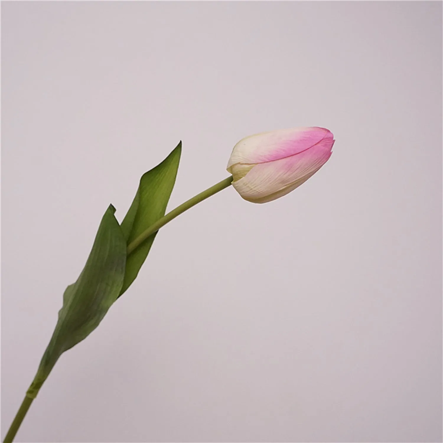 Premium Real Touch Tulip Bud Stem