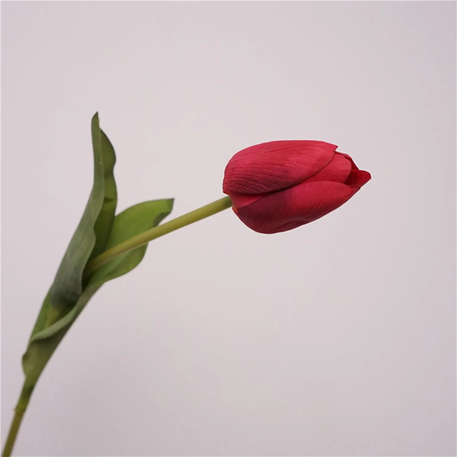 Premium Real Touch Tulip Bud Stem