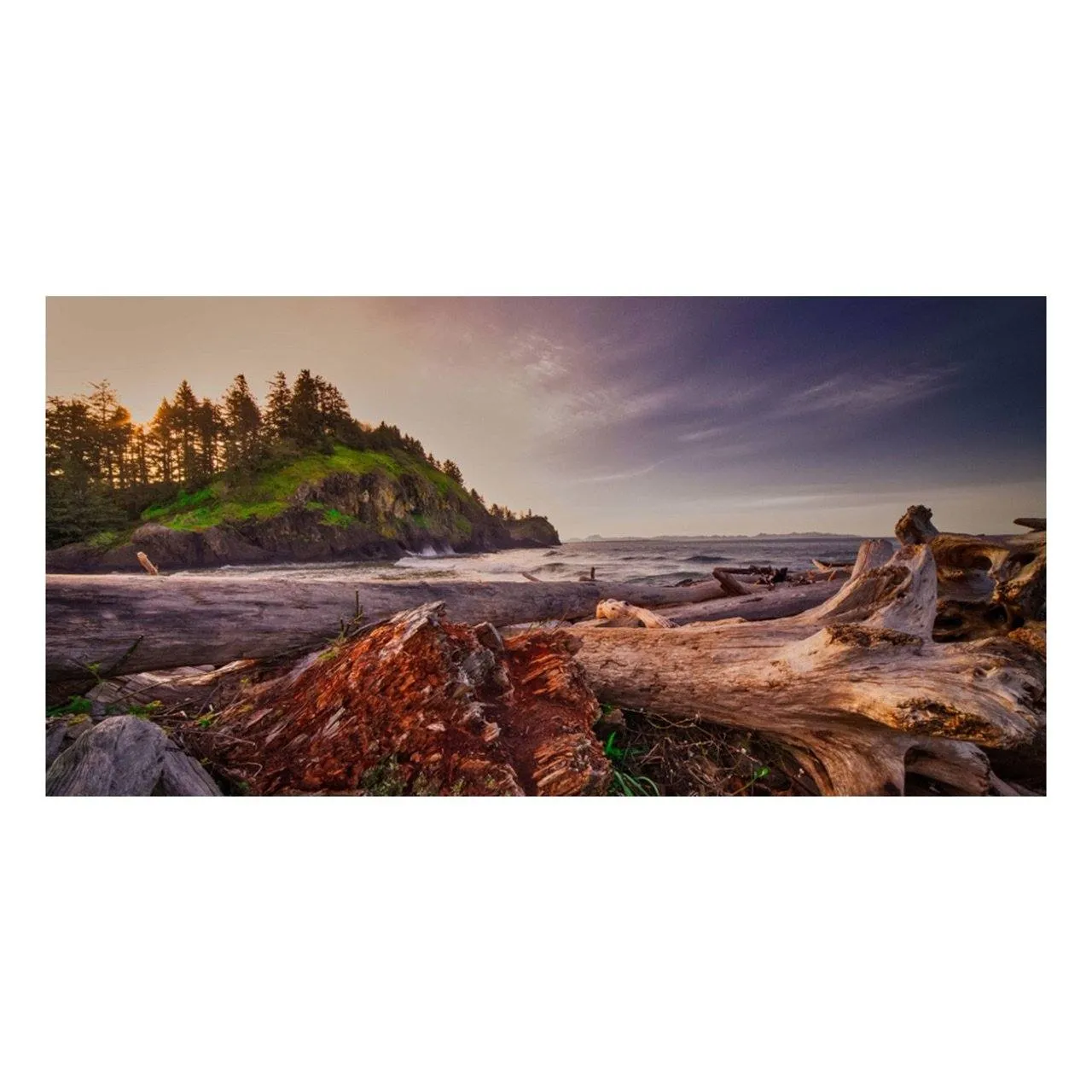 "Driftwood" | Coastal Photography Print