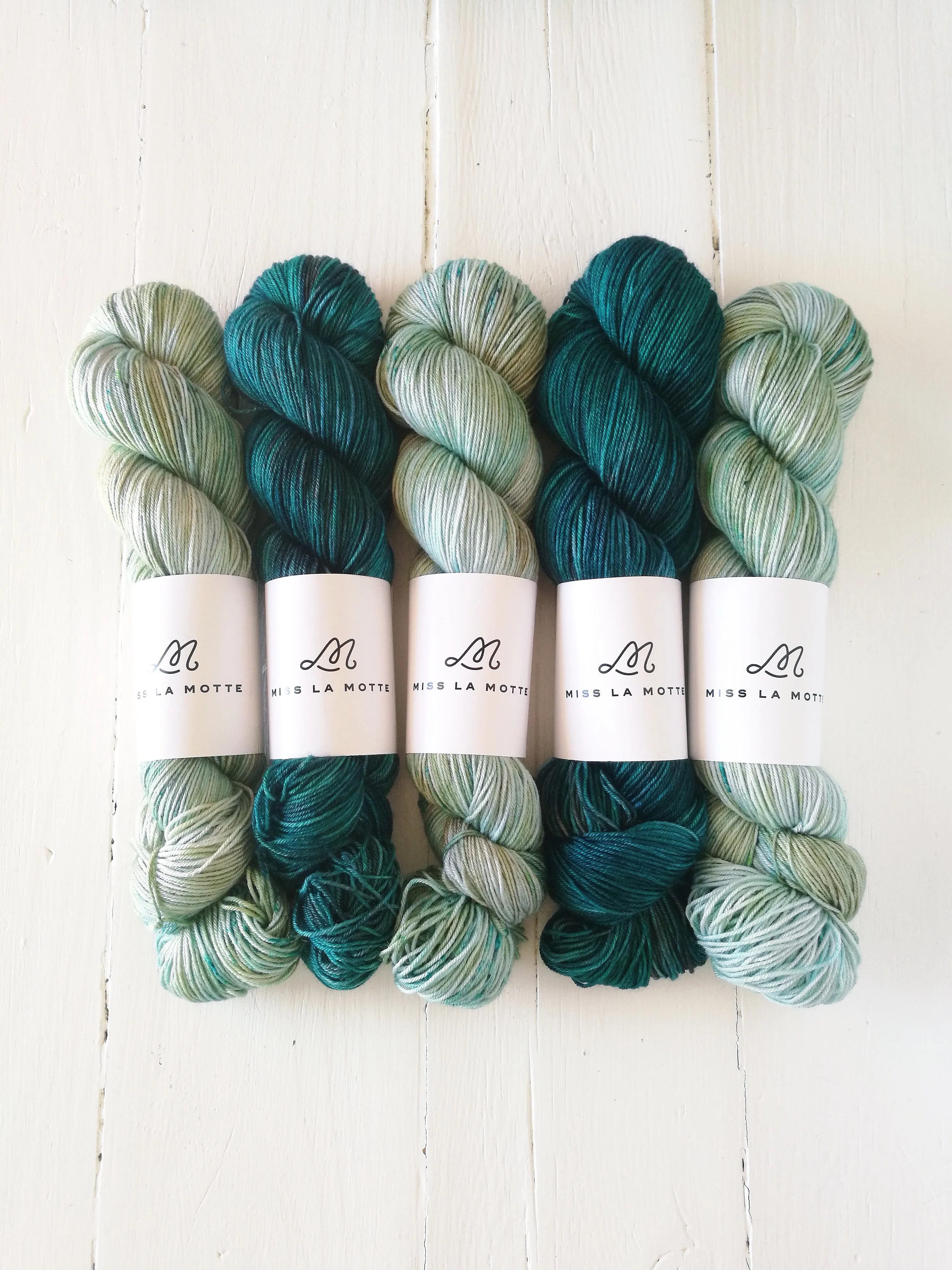 Wool & Pine Peperomia Preorder - Miss La Motte Lustre